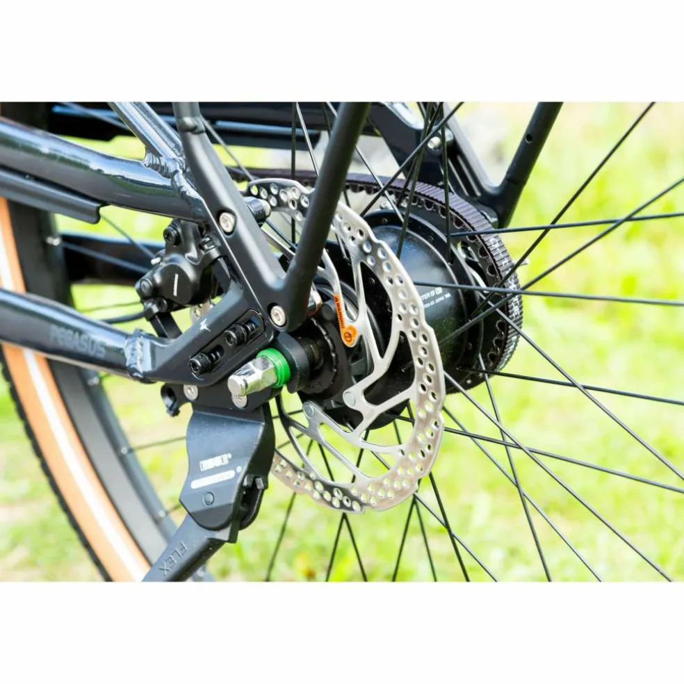 Pegasus Savino EVO 5F Lite Belt