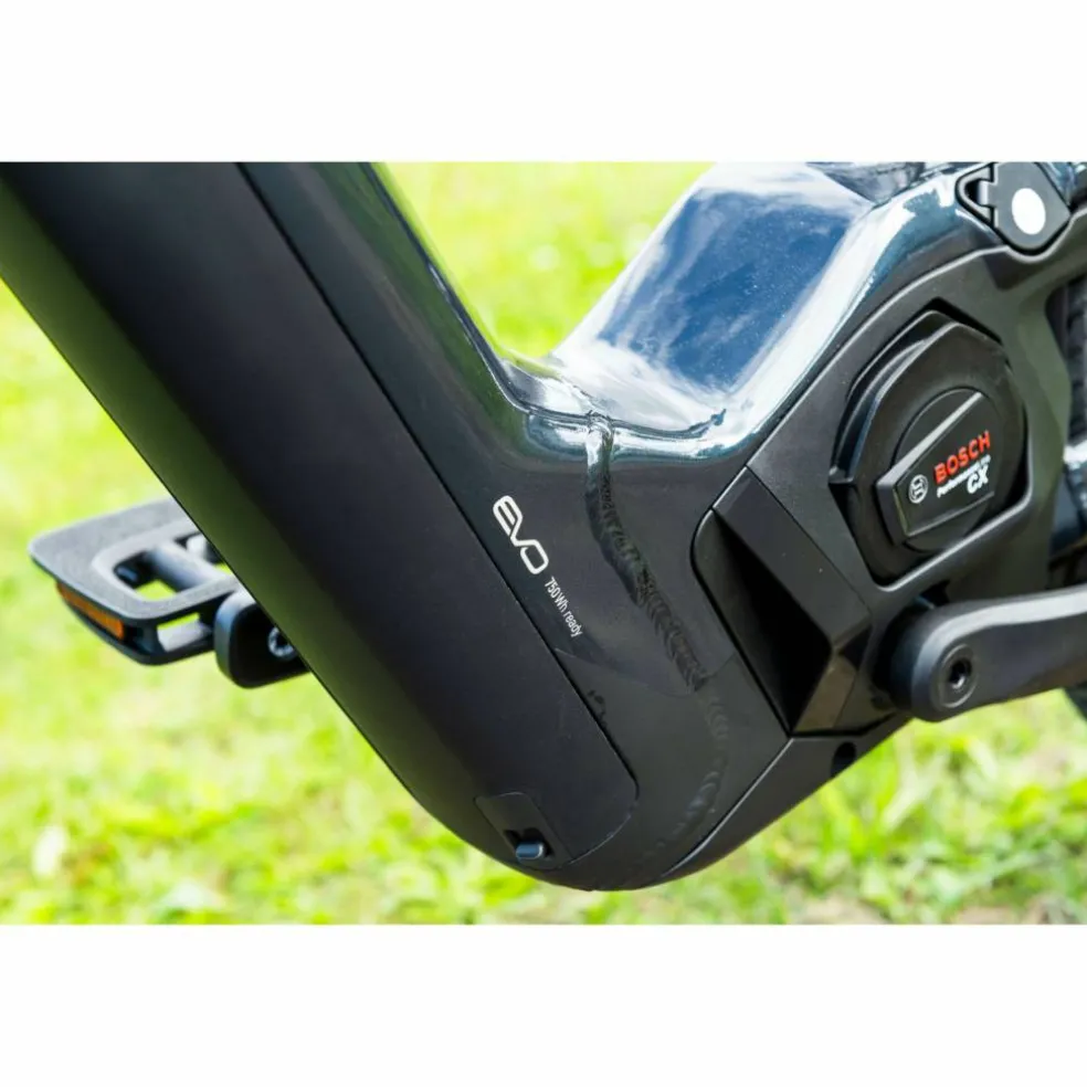 Pegasus Savino EVO 5F Lite Belt