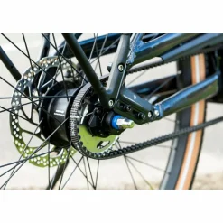 Pegasus Savino EVO 5F Lite Belt