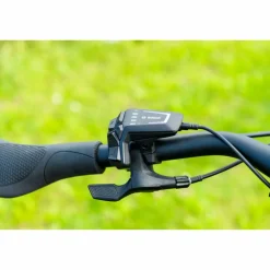 Pegasus Savino EVO 5F Lite Belt