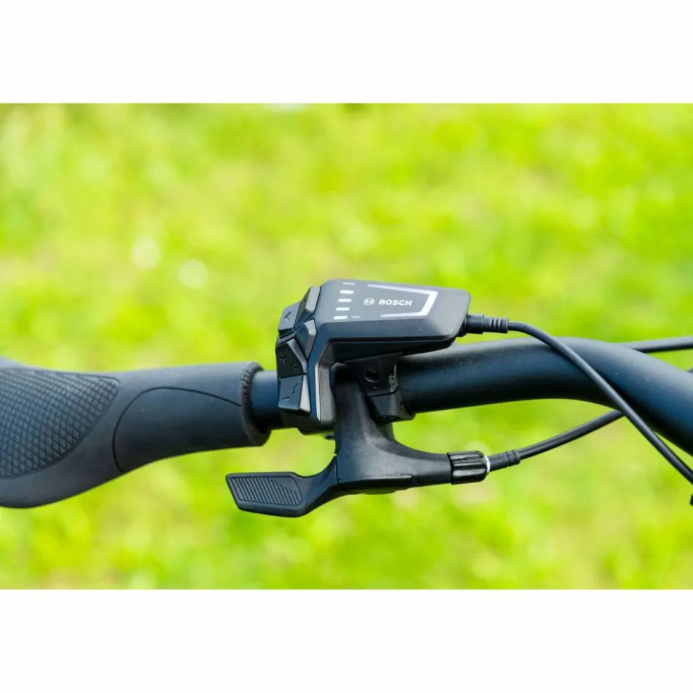 Pegasus Savino EVO 5F Lite Belt