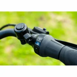 Pegasus Savino EVO 5F Lite Belt