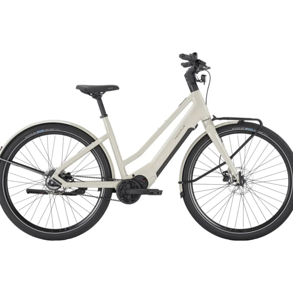 Pegasus Versario EVO 2026