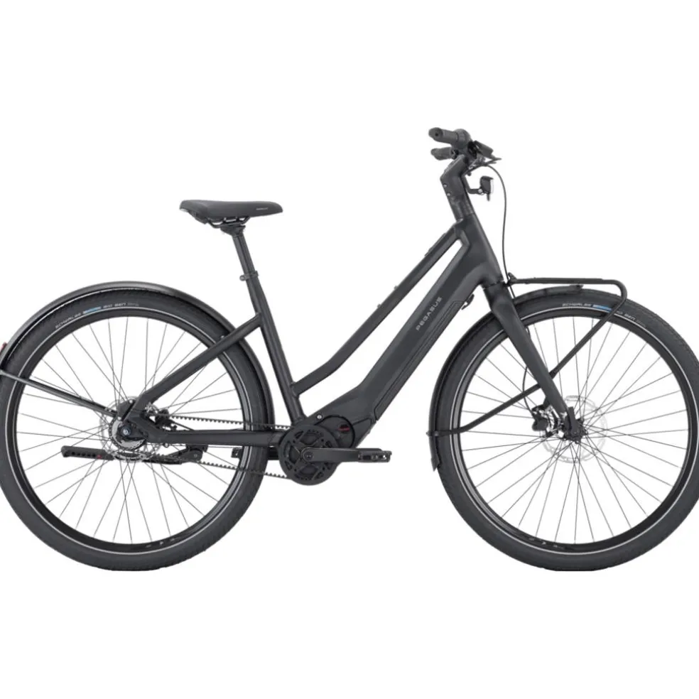 Pegasus Versario EVO 2026