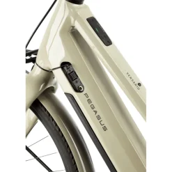 Pegasus Versario EVO 2026