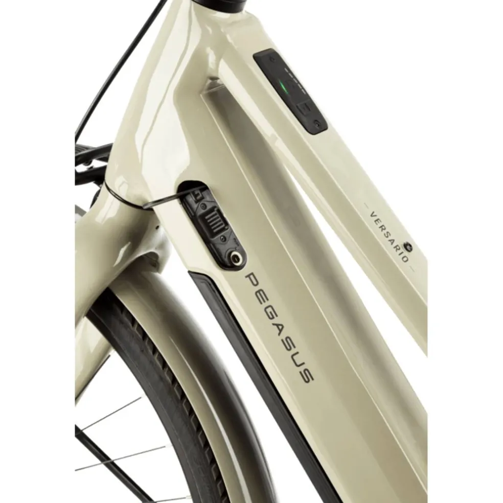 Pegasus Versario EVO 2026
