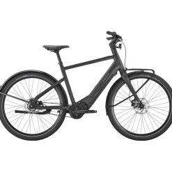 Pegasus Versario EVO 2026