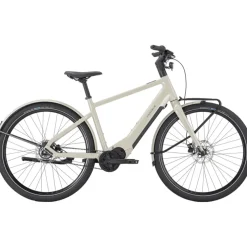 Pegasus Versario EVO 2026