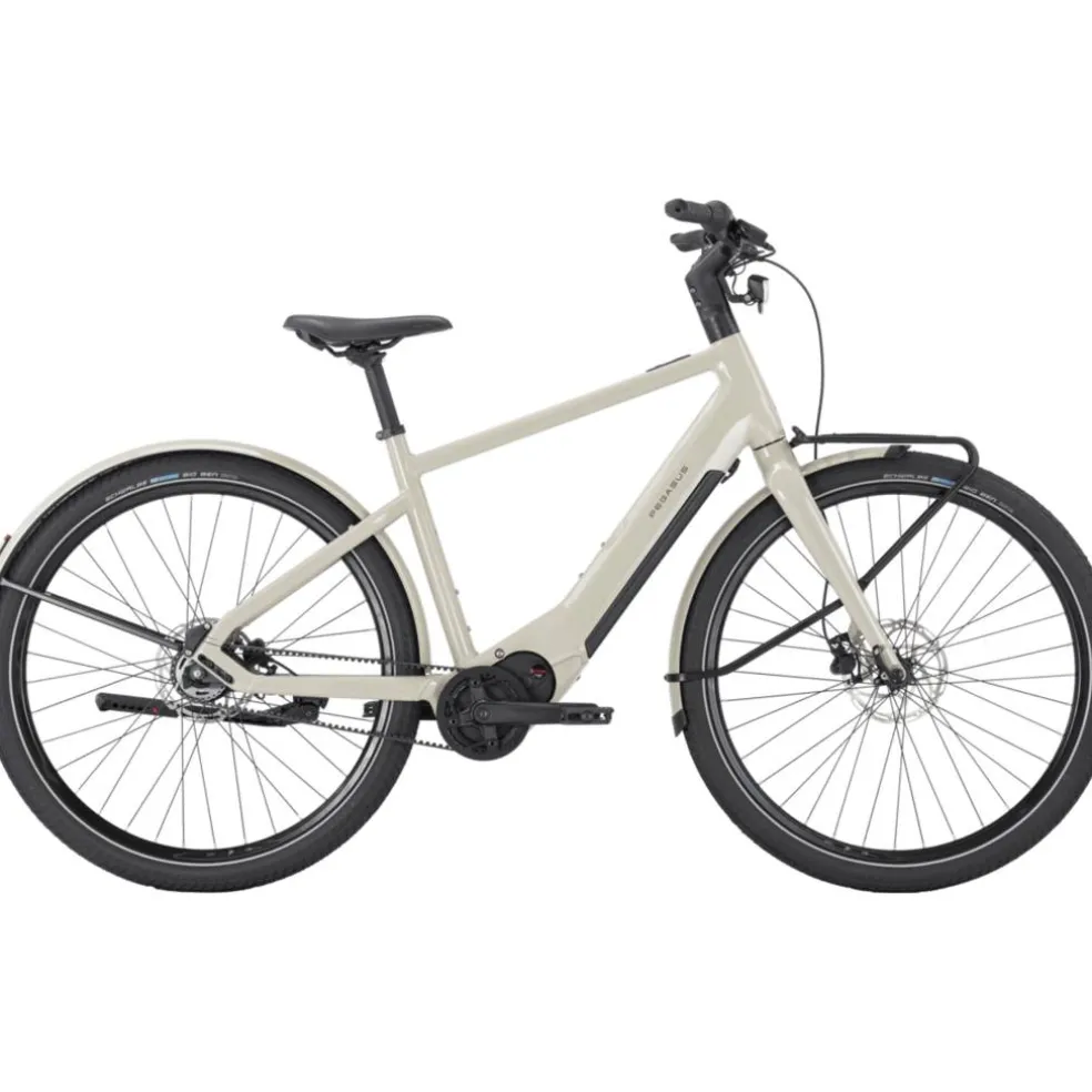 Pegasus Versario EVO 2026