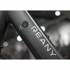 Reany V1 Daily