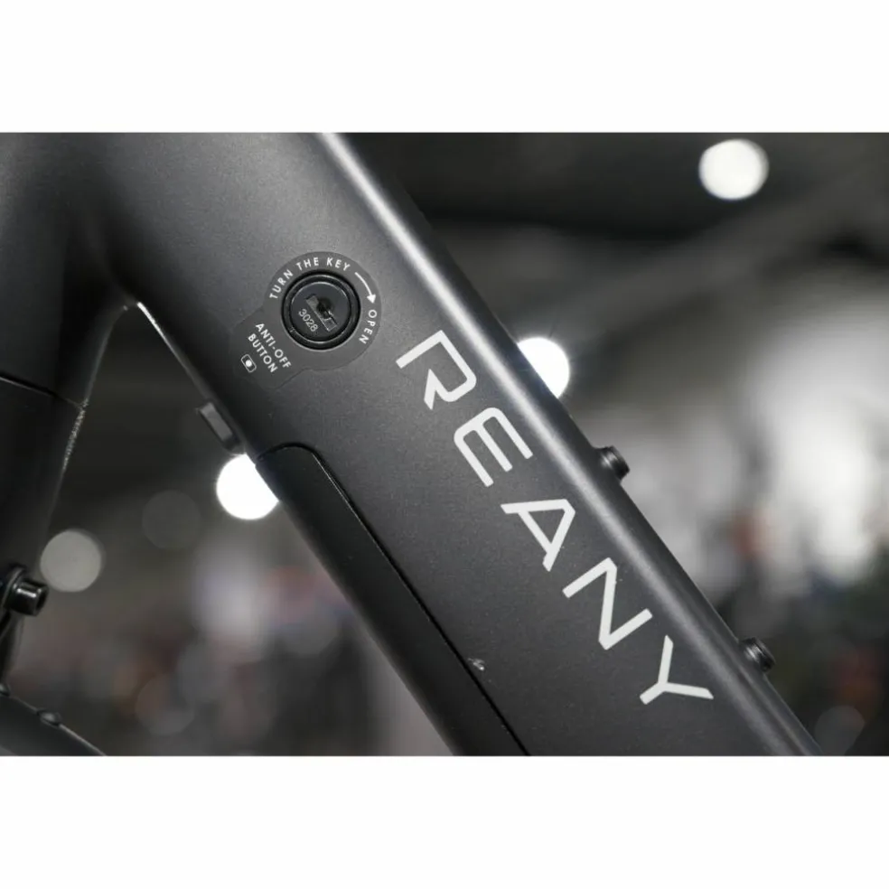 Reany V1 Daily