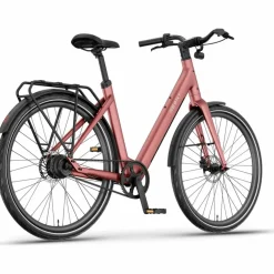 Reany V1 Vivo+