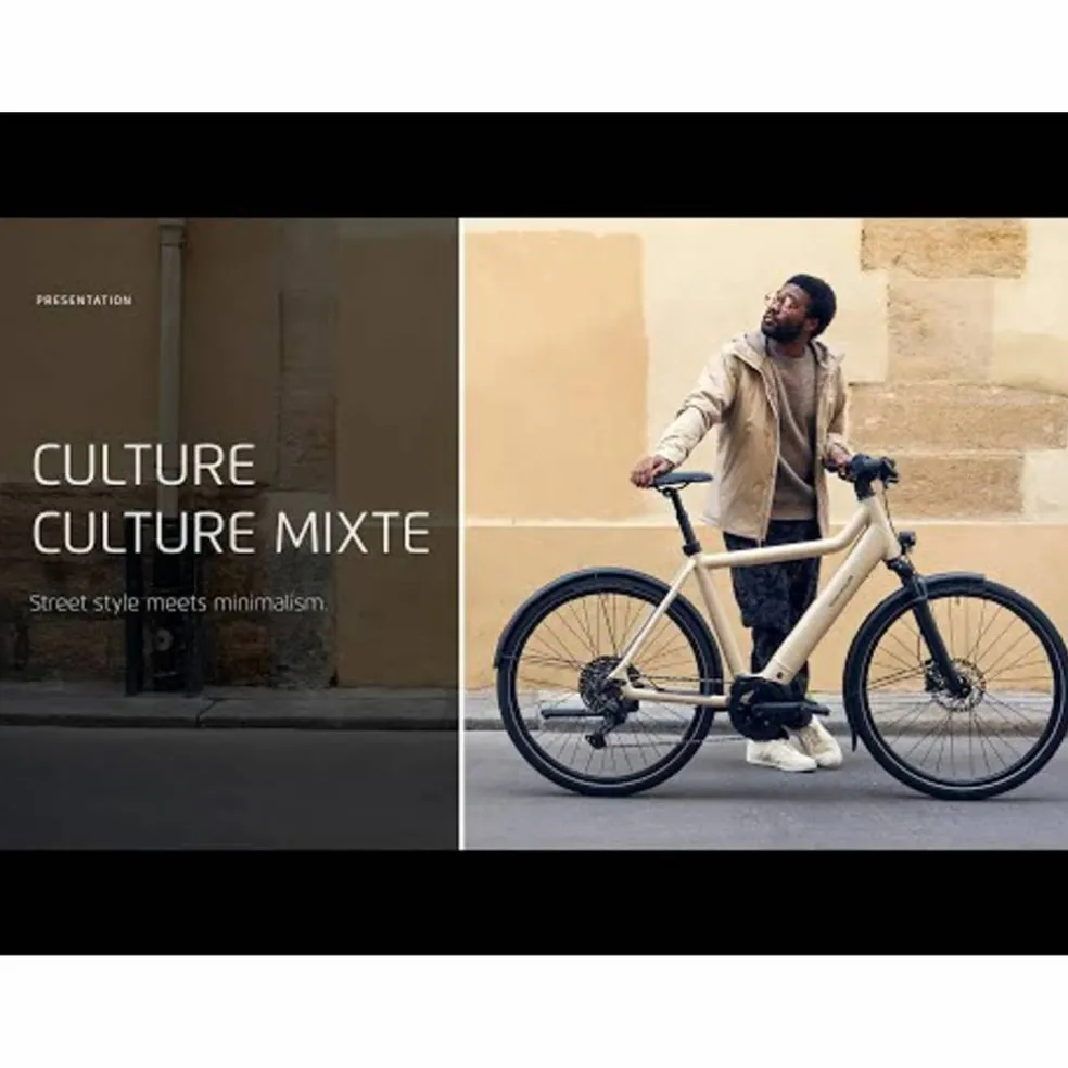 Riese & Müller Culture Silent 2027