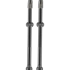 Schwalbe Tubeless Ventiel