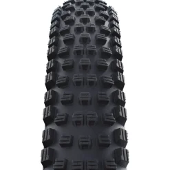 Schwalbe Wicked Will Performance ADDIX MTB Buitenband