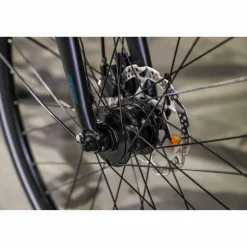 Sensa Cintura LTD Alfine 8 2025