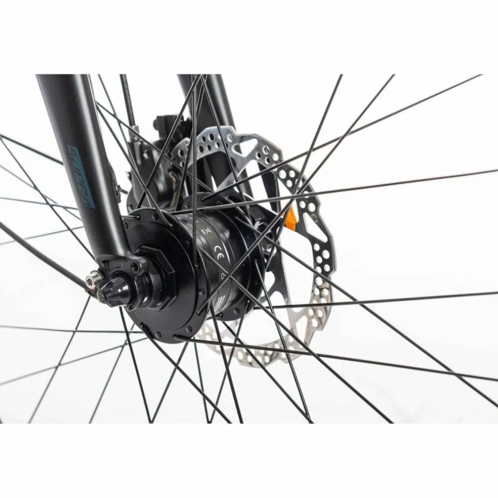Sensa Cintura LTD Alfine 8 2025