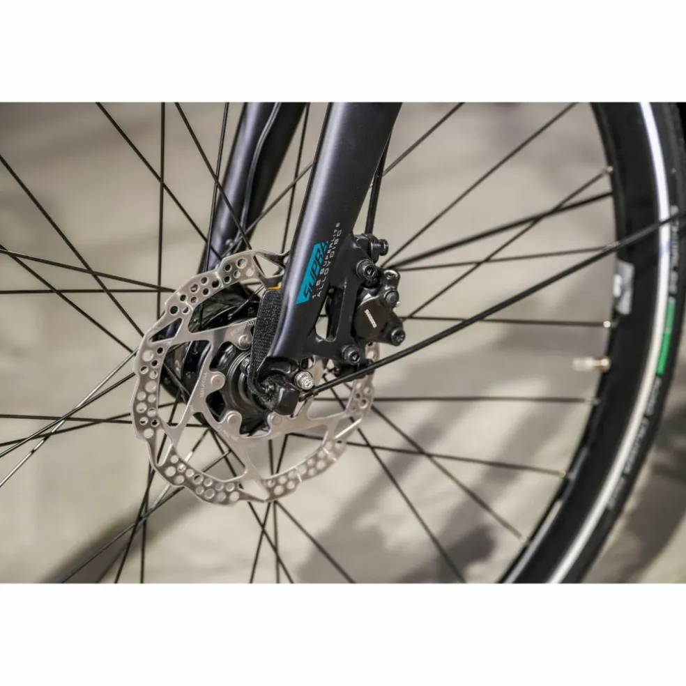 Sensa Cintura LTD Alfine 8 2025