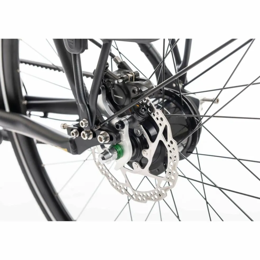 Sensa Cintura LTD Alfine 8 2025