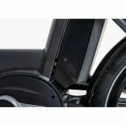 Sparta d-Wiz M7B 2026