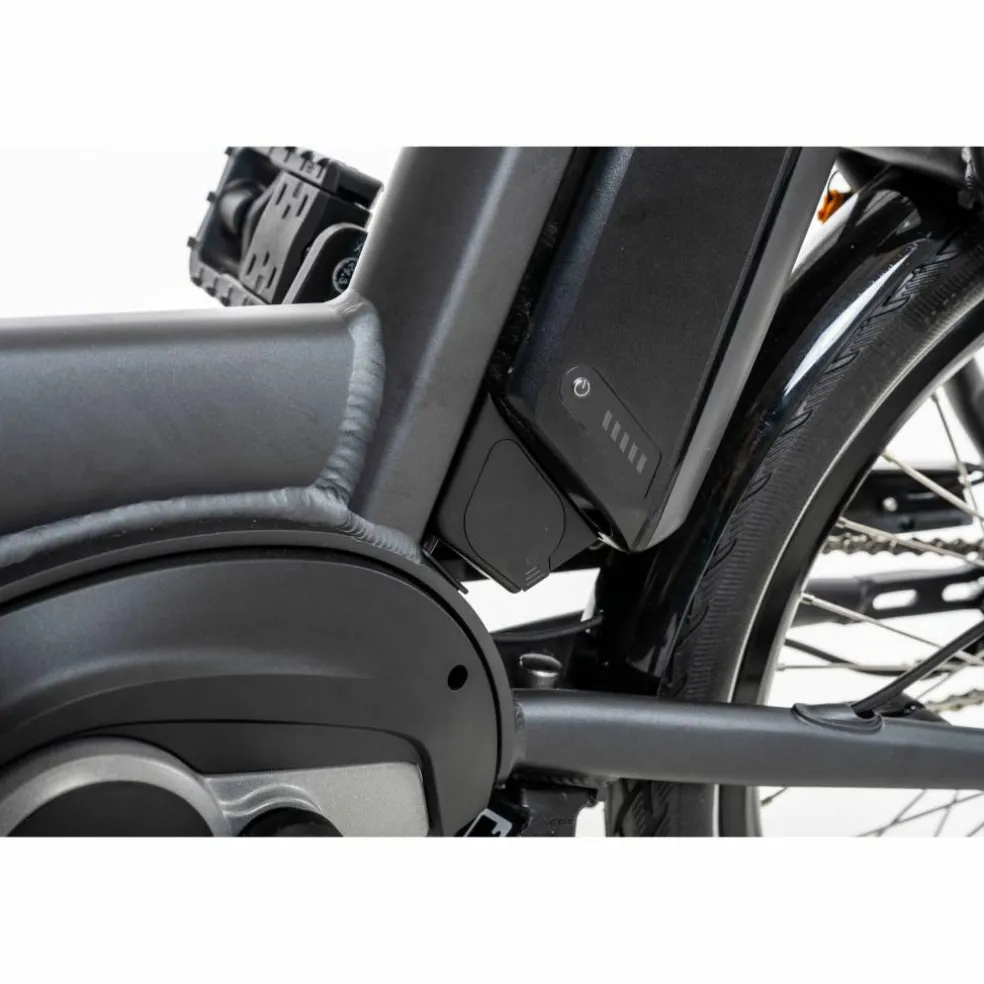 Sparta d-Wiz M7B 2026