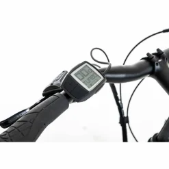 Sparta d-Wiz M7B 2026