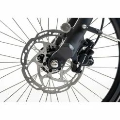 Sparta d-Wiz M7B 2026