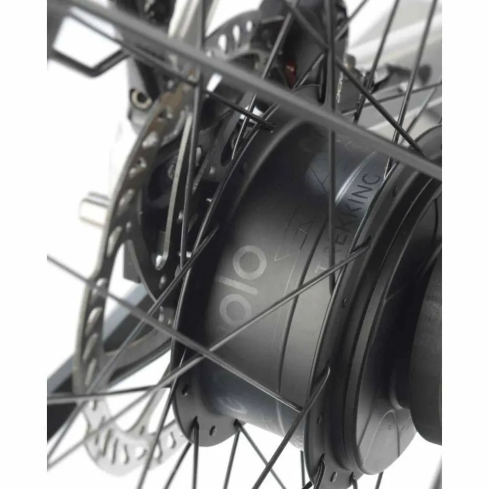 STEVENS E-Courier Plus 725 Wh 2025