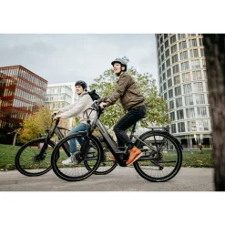 STEVENS E-Triton 9.8.1 800 Wh