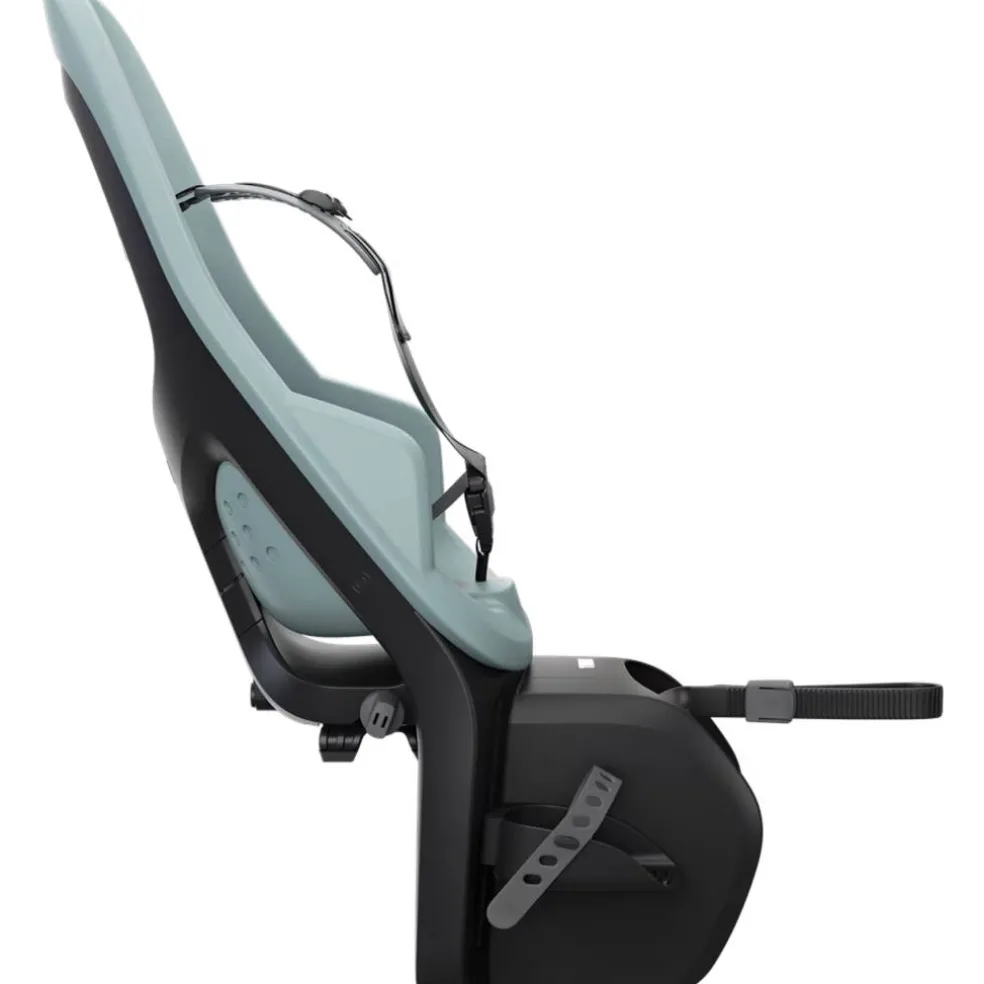 Thule Yepp 2 Maxi Fietsstoeltje Achter