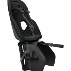 Thule Yepp Nexxt 2 Maxi Fietsstoeltje Achter