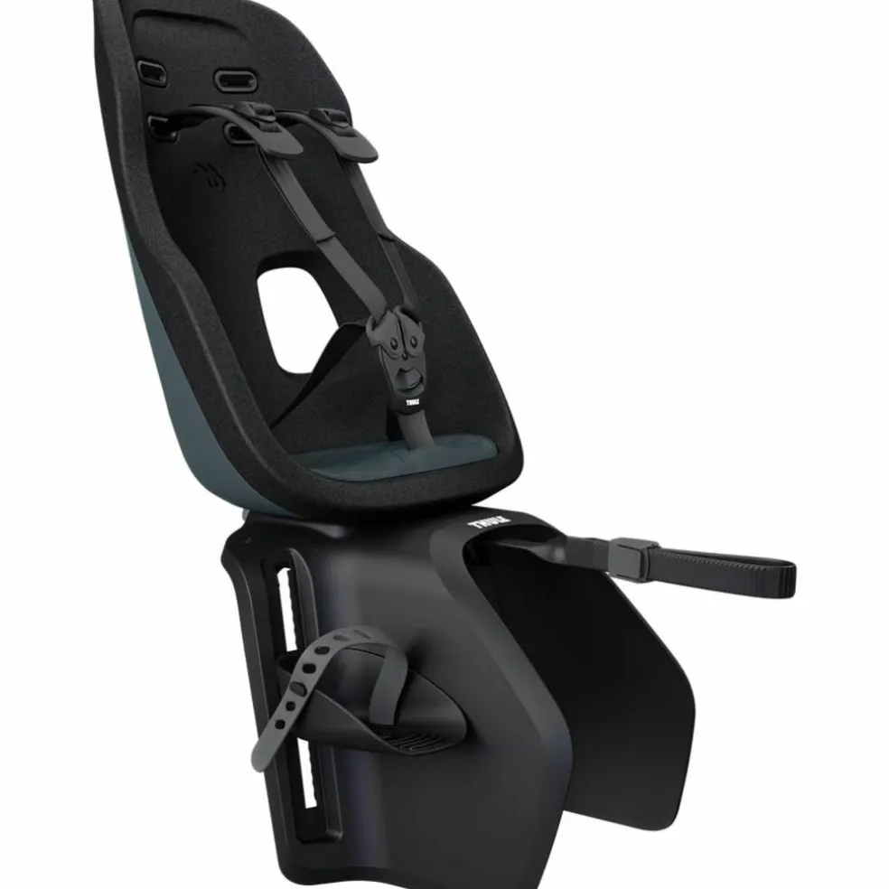 Thule Yepp Nexxt 2 Maxi Fietsstoeltje Achter