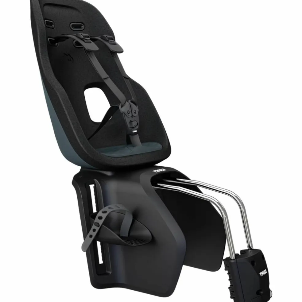 Thule Yepp Nexxt 2 Maxi Fietsstoeltje Achter