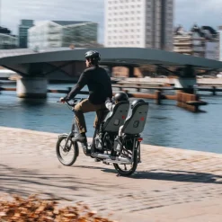 Thule Yepp Nexxt 2 Maxi Fietsstoeltje Achter