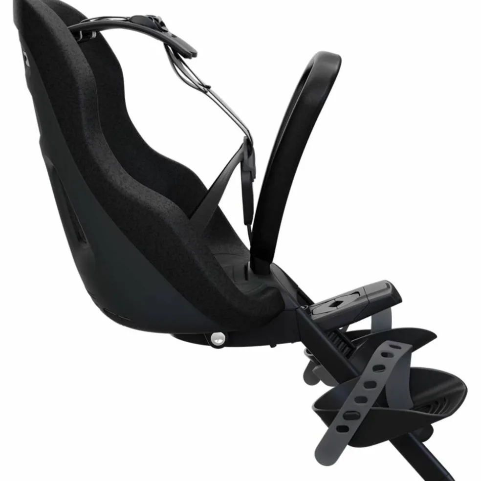 Thule Yepp Nexxt 2 Mini Fietsstoeltje Voor