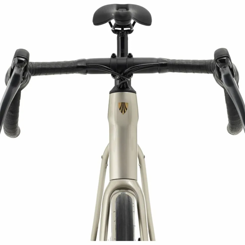 Trek Domane AL 2 Gen 4 2027
