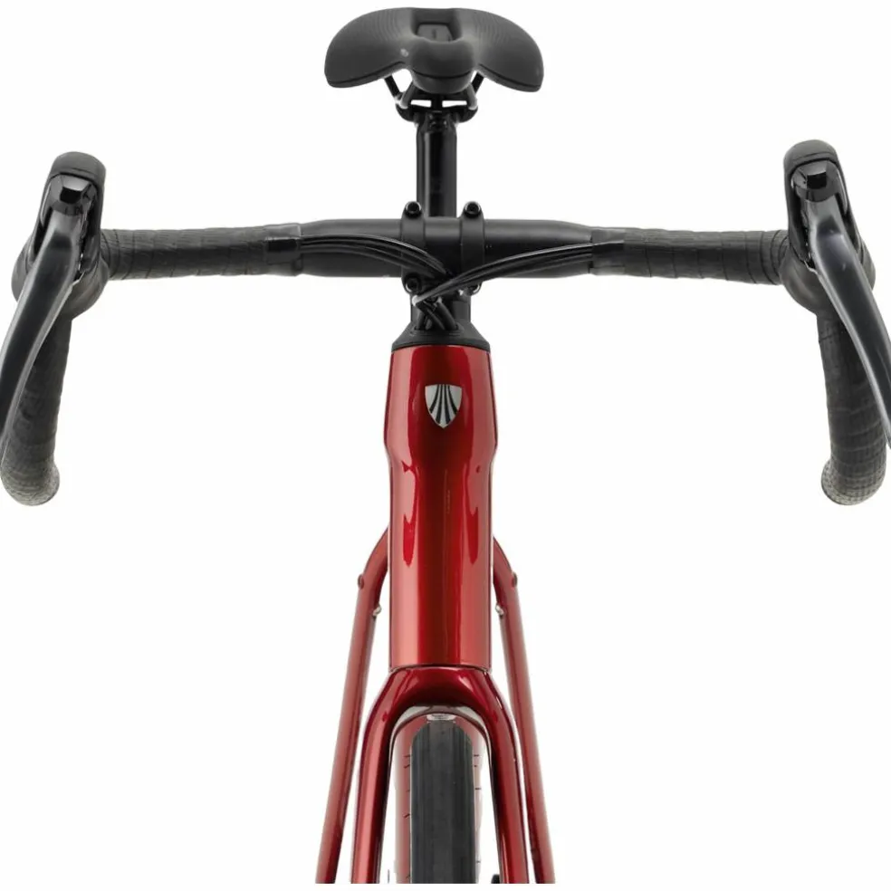 Trek Domane AL 2 Gen 4 2027