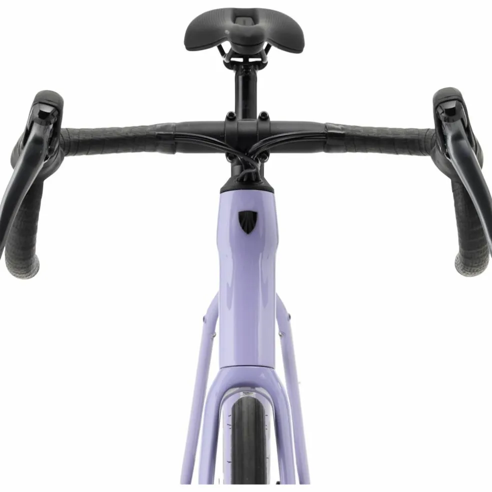Trek Domane AL 2 Gen 4 2027