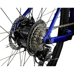 Trek Dual Sport+ 2 LT 2025