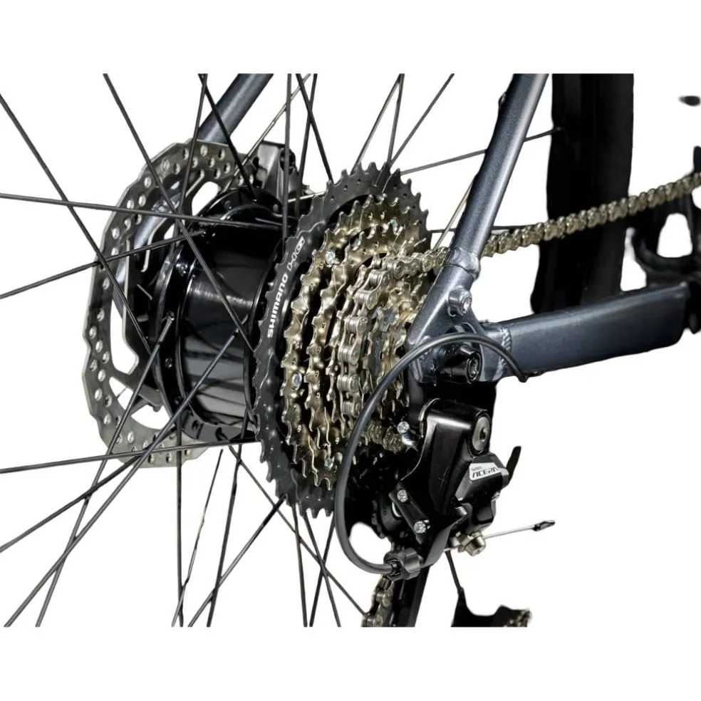 Trek Dual Sport+ 2 LT 2025