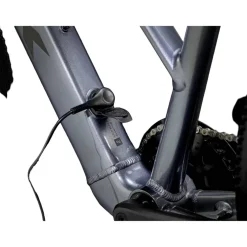 Trek Dual Sport+ 2 LT 2025