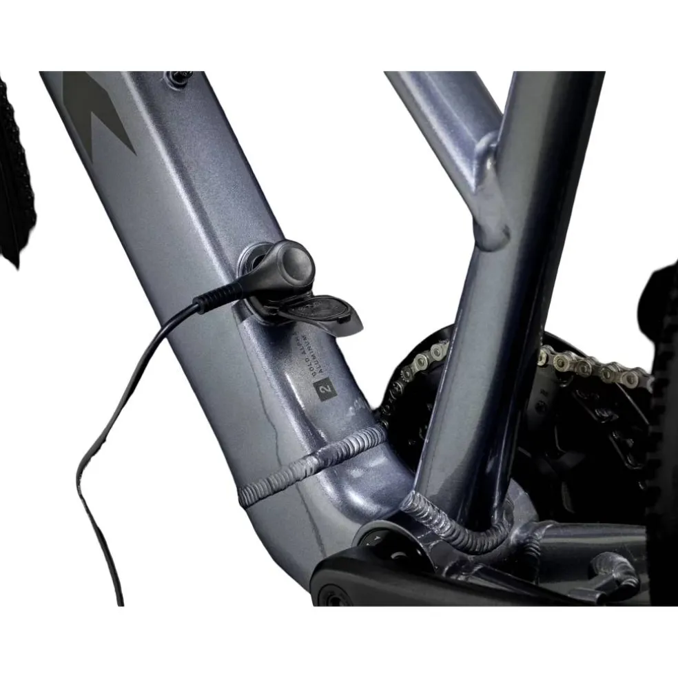 Trek Dual Sport+ 2 LT 2025