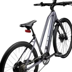 Trek Dual Sport+ 2 LT 2025
