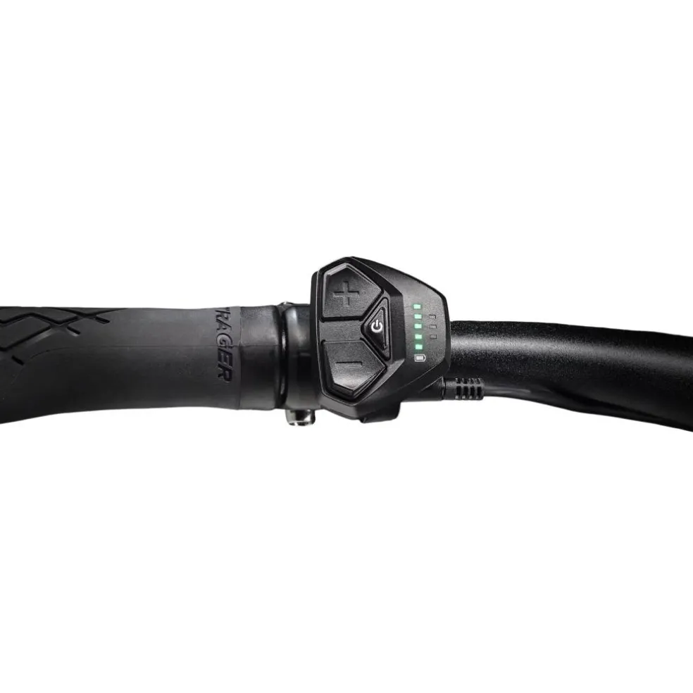 Trek Dual Sport+ 2 LT 2025