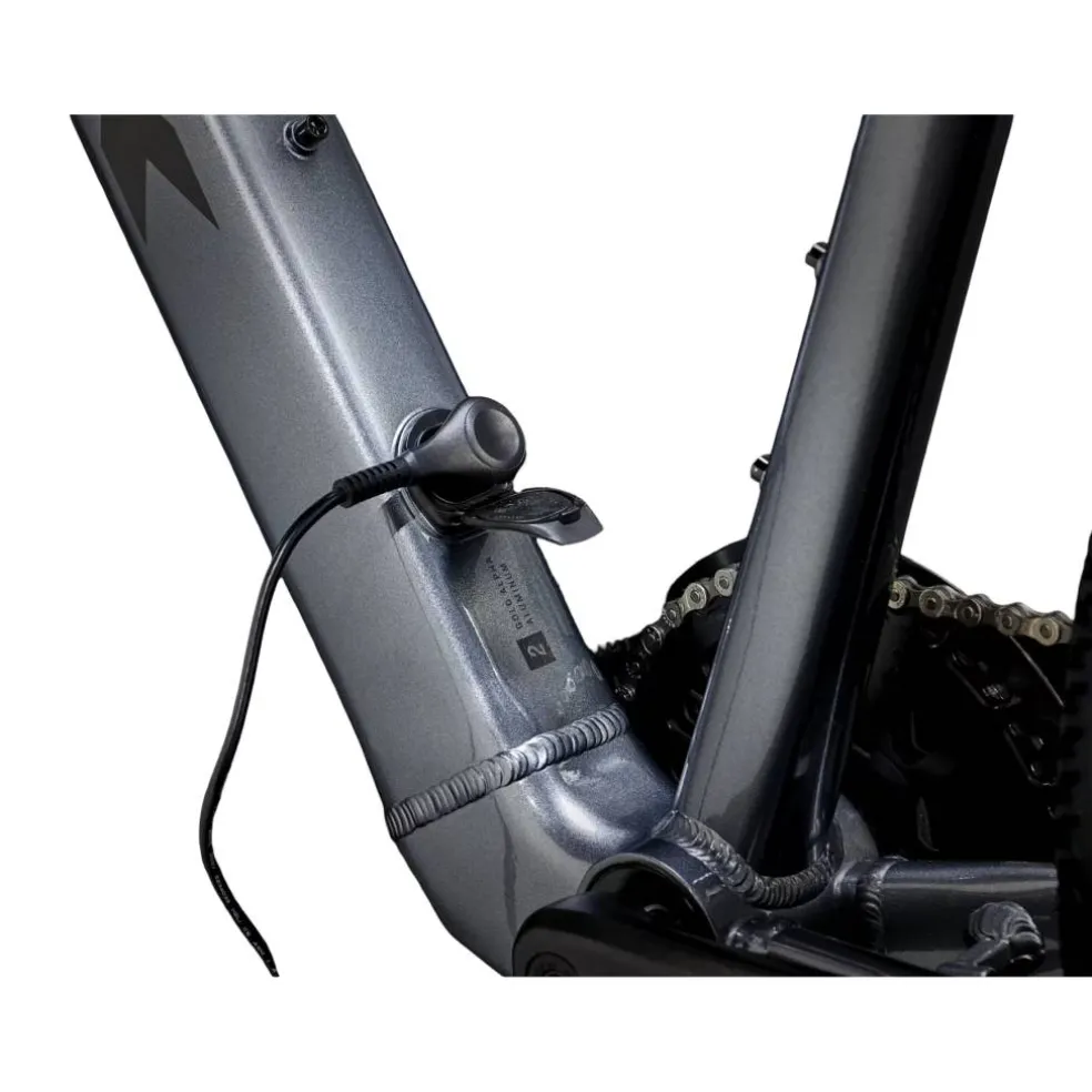 Trek Dual Sport+ 2 LT 2025