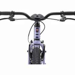 Trek Precaliber 20 2027