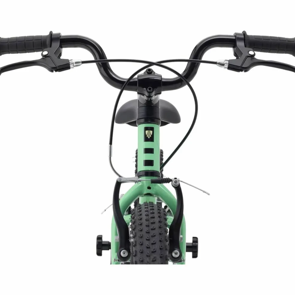 Trek Precaliber 16 2027