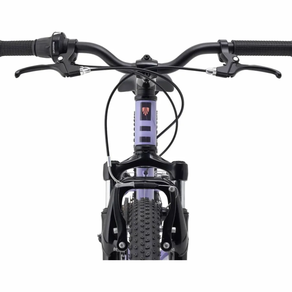 Trek Precaliber 20 7-Speed 2027