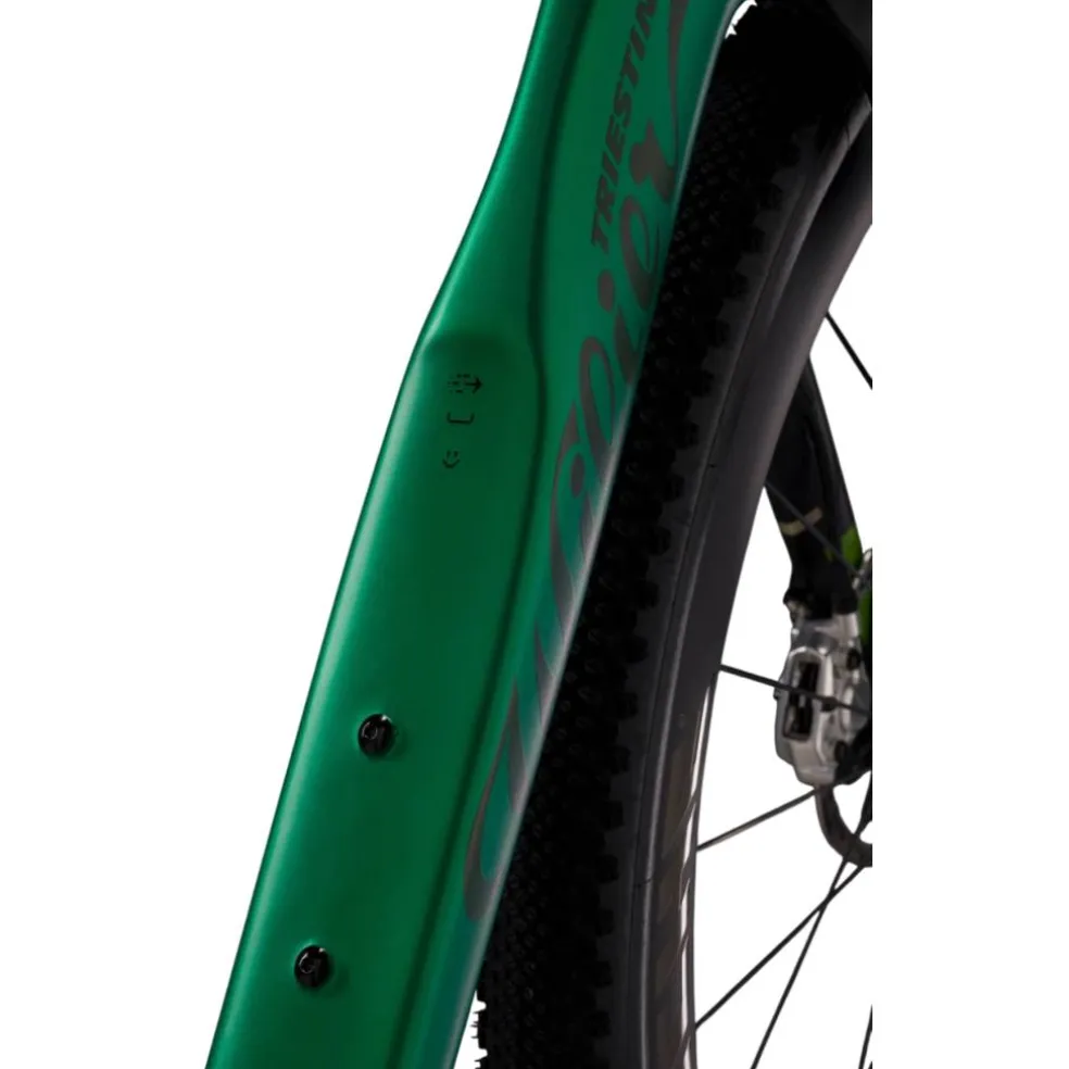 Wilier Rave SLR ID2 GRX 1x12 Di2 2026