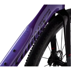 Wilier Rave SLR ID2 GRX 1x12 Di2 2026